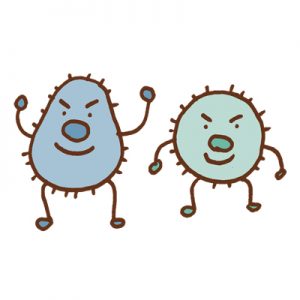 mold-bacterium